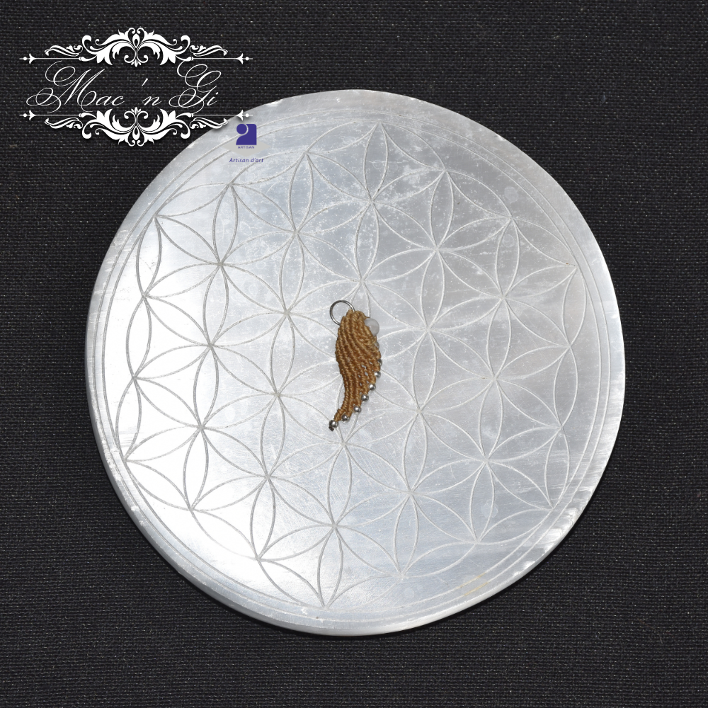 Pendentif Aile d'ange Pierre de lune